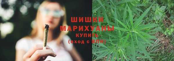 прущие крисы Богданович