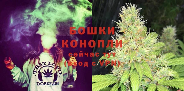 стаф Богородицк
