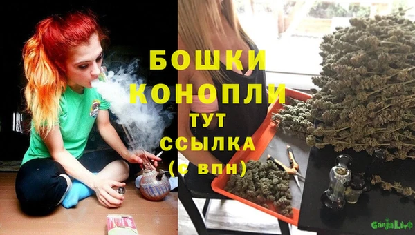 прущая мука Богородск