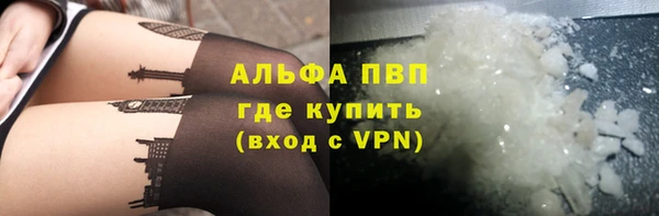 стаф Богородицк