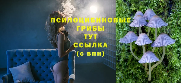 прущие крисы Богданович