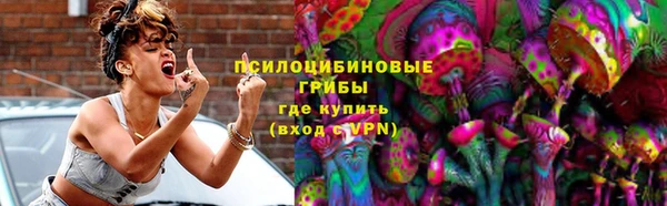 стаф Богородицк