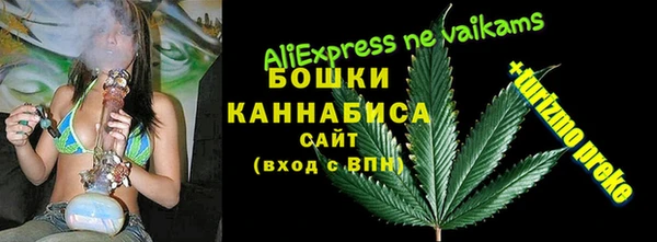 стаф Богородицк