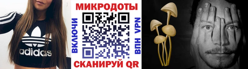 Купить закладки  Шиханы  Галлюциногенные грибы Magic Shrooms 